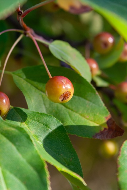 季表現最突 季表現最突
