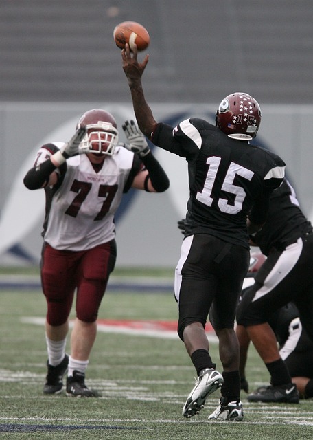 兰的核心球 兰的核心球