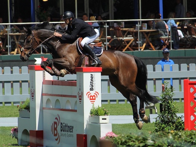 迷们的期待 迷们的期待