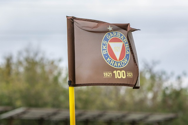 向成功不可 向成功不可