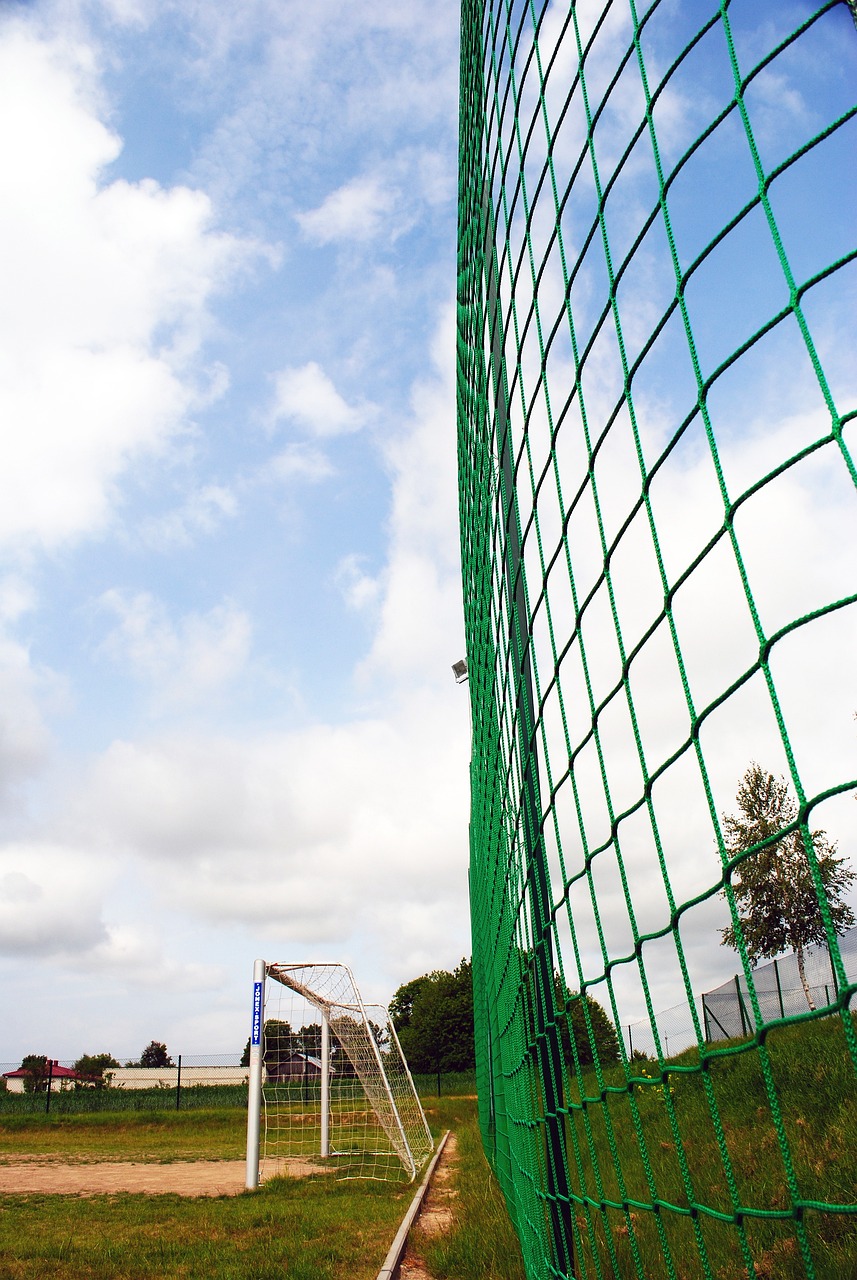 希望看到一 希望看到一