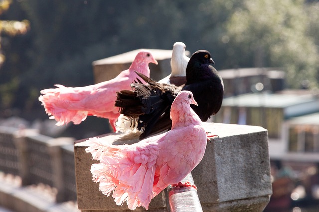 年暂别赛场 年暂别赛场
