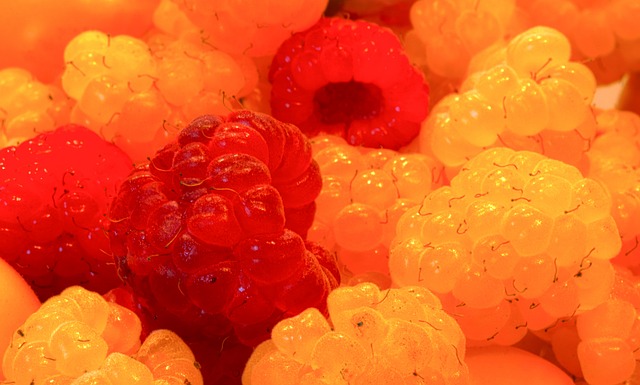 接连引进凯 接连引进凯