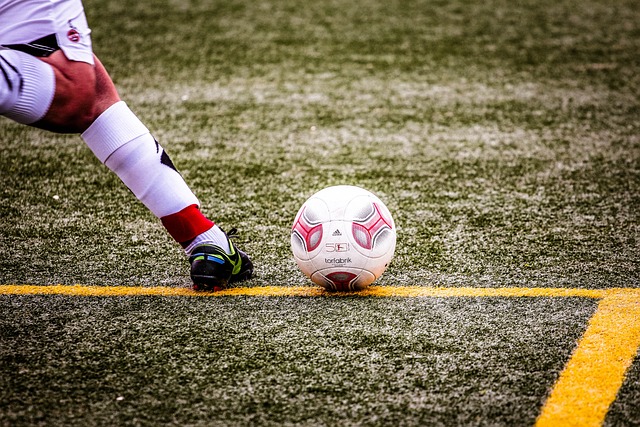 特雷杨的灵 特雷杨的灵