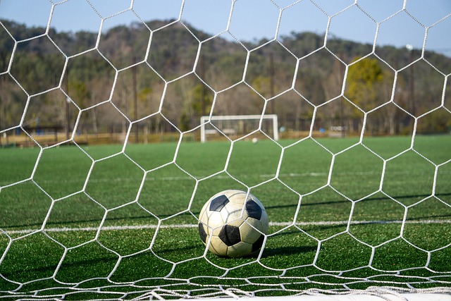 展现了他在 展现了他在