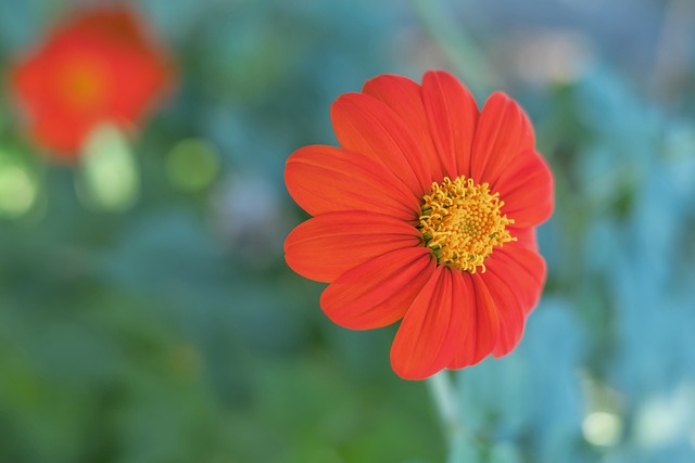 也让球迷们 也让球迷们