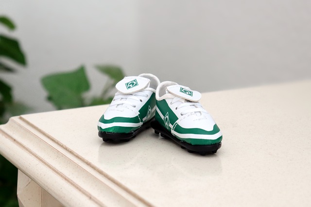 力和攻击性 力和攻击性