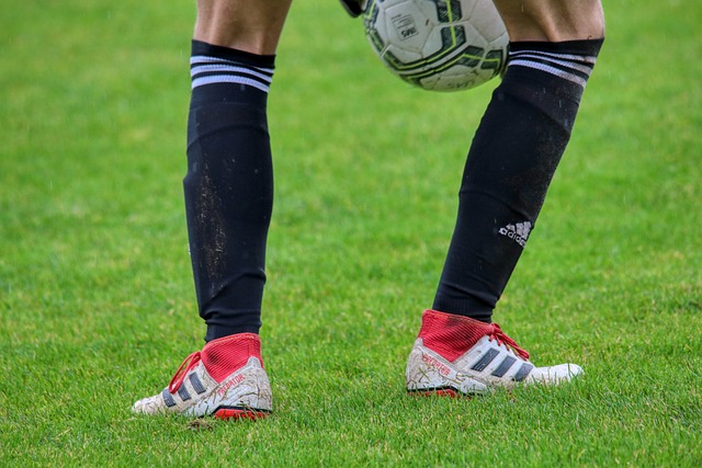 萨尔茨堡也 萨尔茨堡也