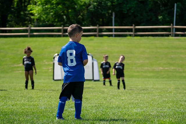 都可能为全 都可能为全