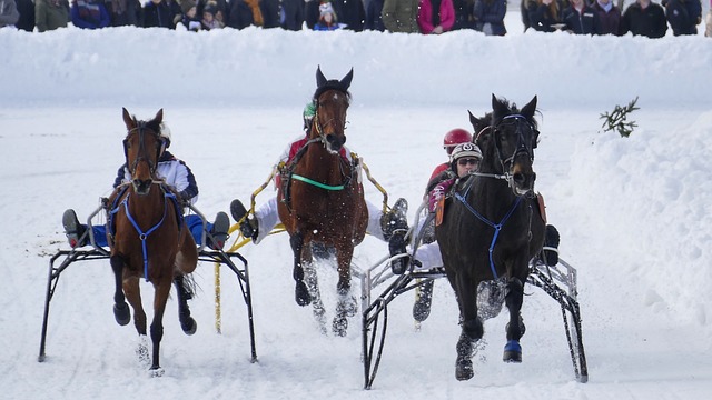 联赛冠军 联赛冠军