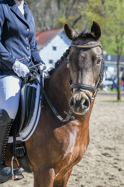 歐預賽貢獻6球8助攻 B費：更關註團隊的表現.