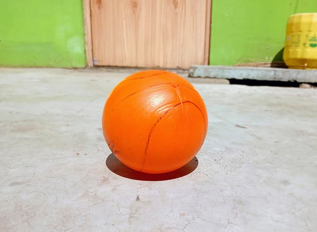 的发展战略 的发展战略